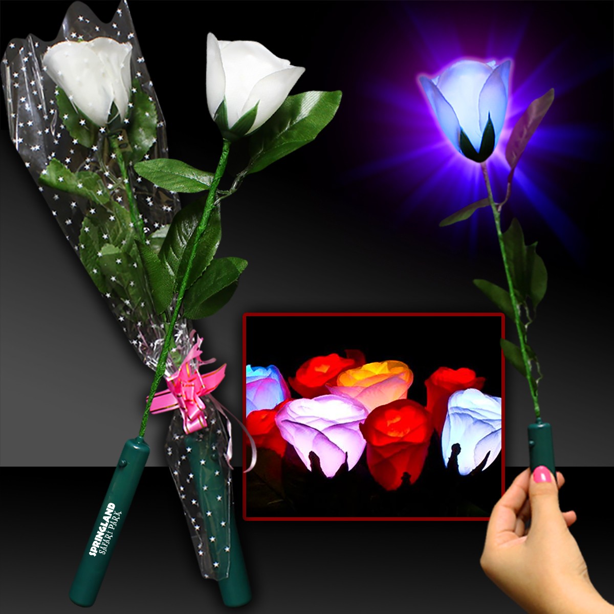 White Rose with Multi Color LEDs