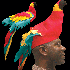 Parrot Hat 